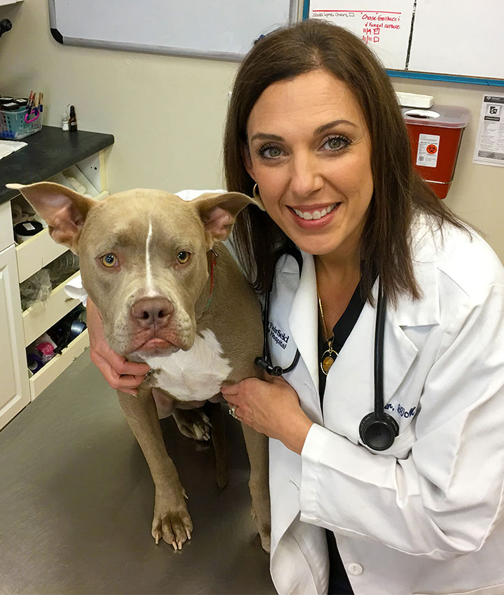 Dr Rachel Harter Dvm New Fairfield Animal Hospital